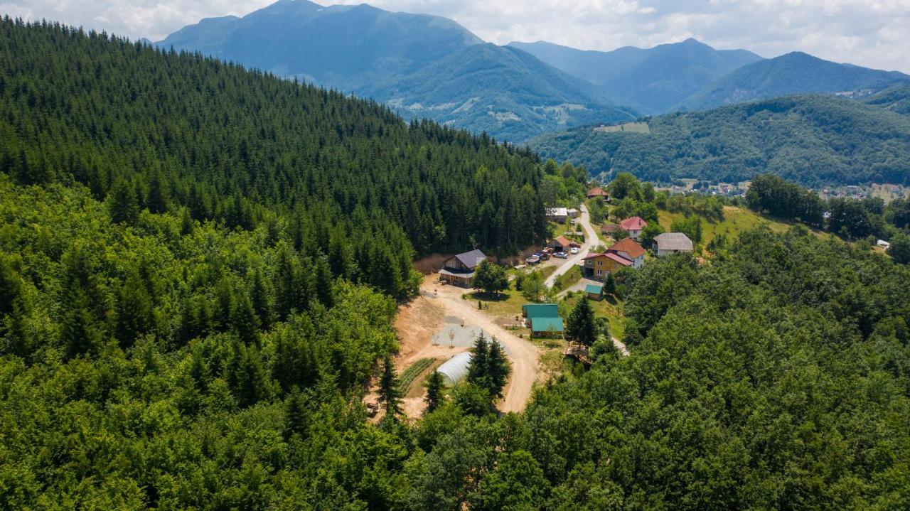 Gazela Bungalov 1 Mojkovac Eksteriør bilde