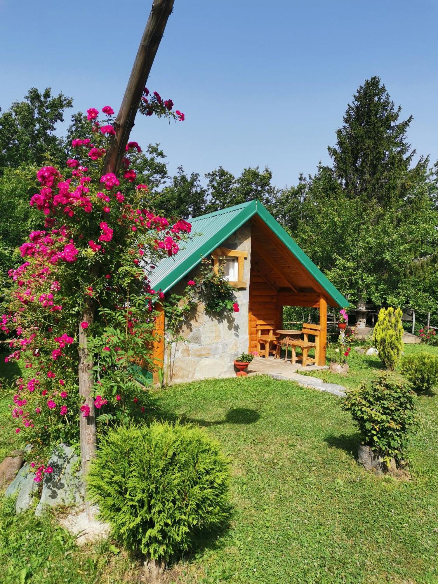 Gazela Bungalov 1 Mojkovac Eksteriør bilde
